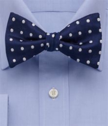 Dot Pre Tied Silk Bow Tie Paul Fredrick